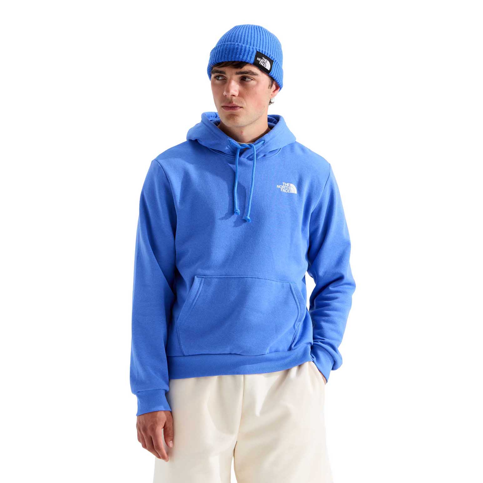 The North Face Men's Evolution Box Nse Regular Hoodie